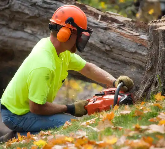 tree services Maiden